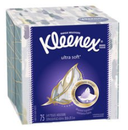 カナダ バンクーバーの花粉症の時期や花粉症対策とおすすめの市販薬 Miki S English Cafe